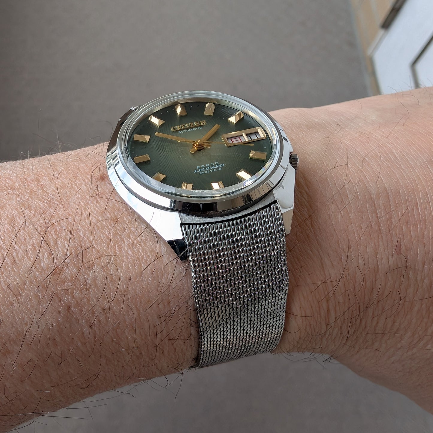 1972 Citizen 28800 Leopard 4-770382-Y