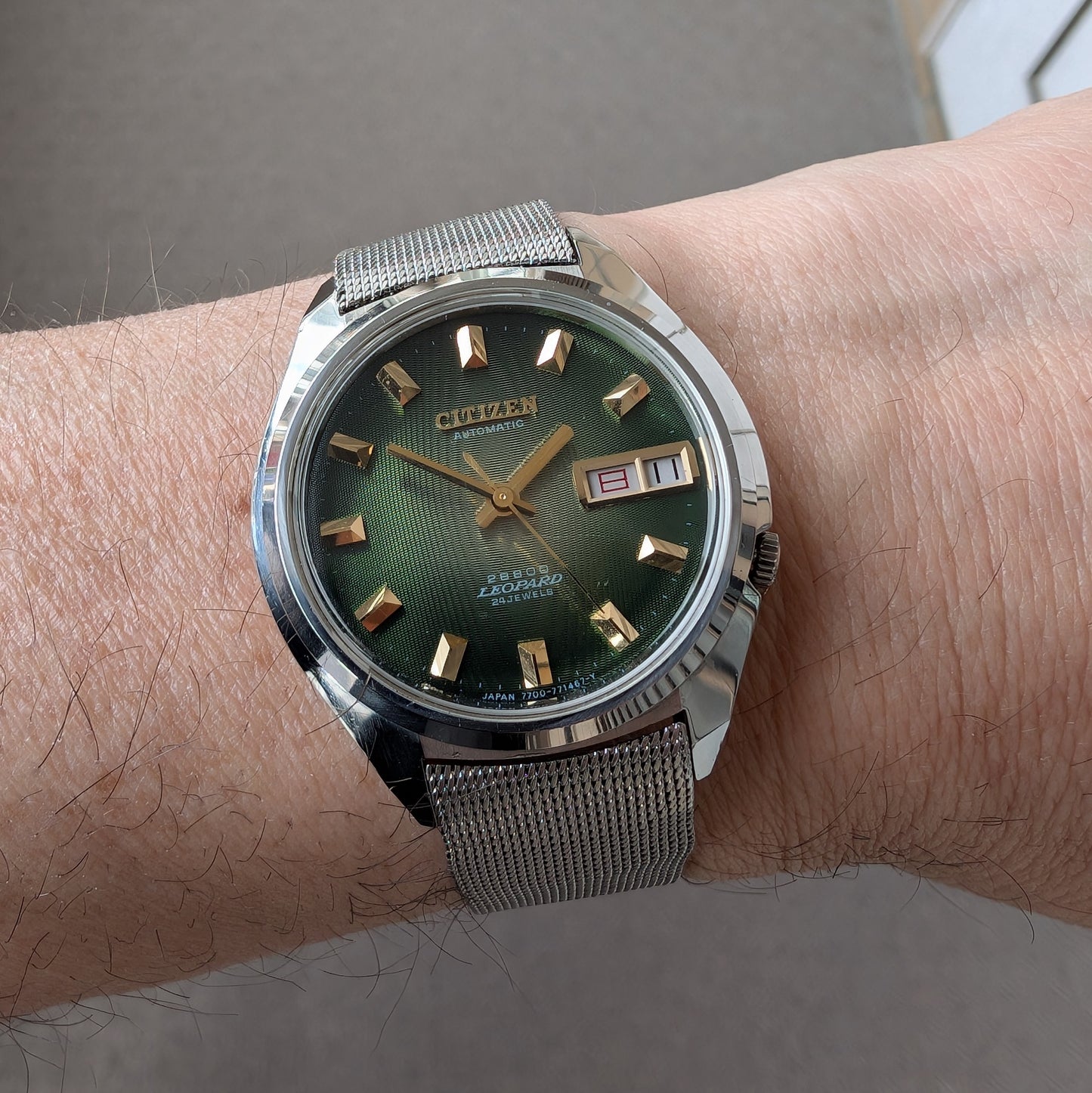 1972 Citizen 28800 Leopard 4-770382-Y