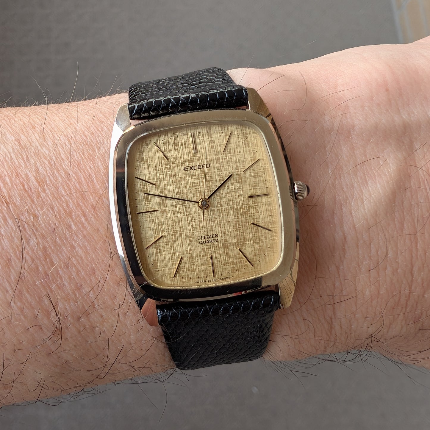 1980 Citizen Exceed 4-796501