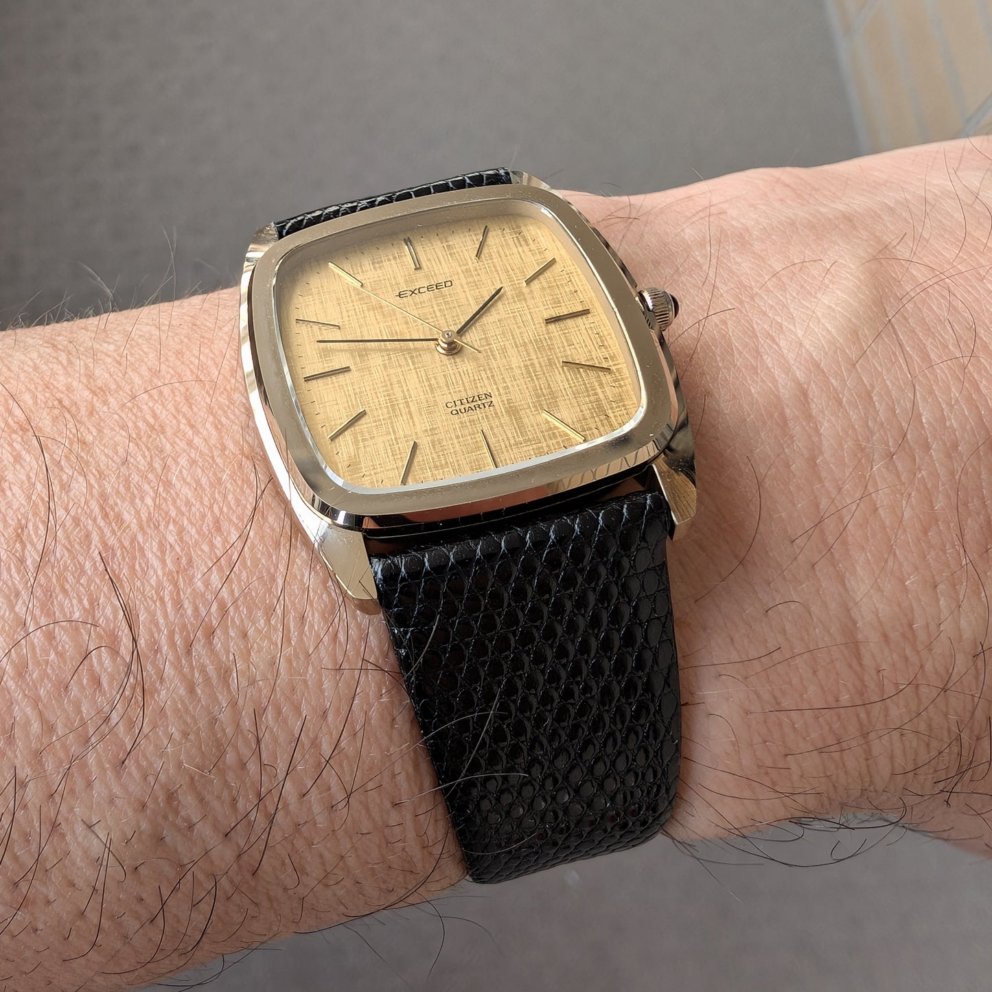 1980 Citizen Exceed 4-796501