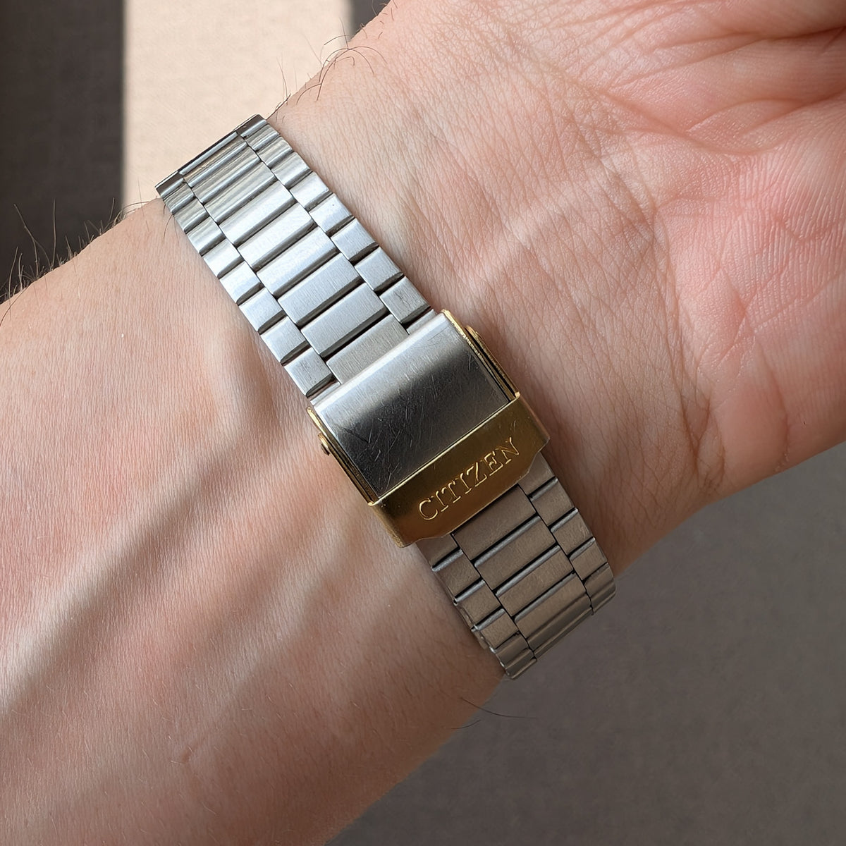 1990 Citizen Freeway 5500-A85293